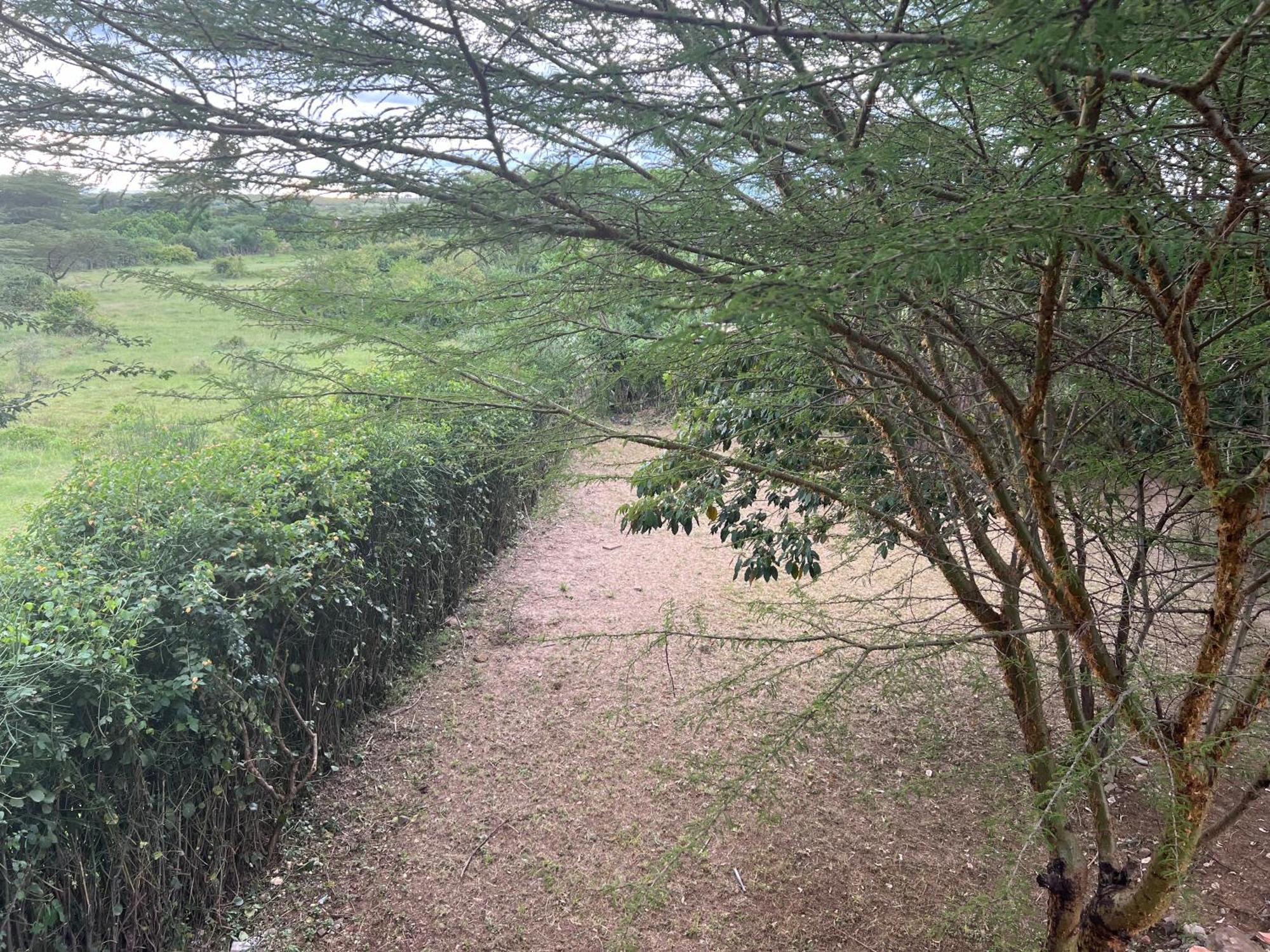 Olaloi Mara Camp Villa Maasai Mara Buitenkant foto